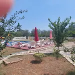 Chipo * Vodnjan